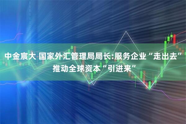 中金宸大 国家外汇管理局局长:服务企业“走出去” 推动全球资本“引进来”